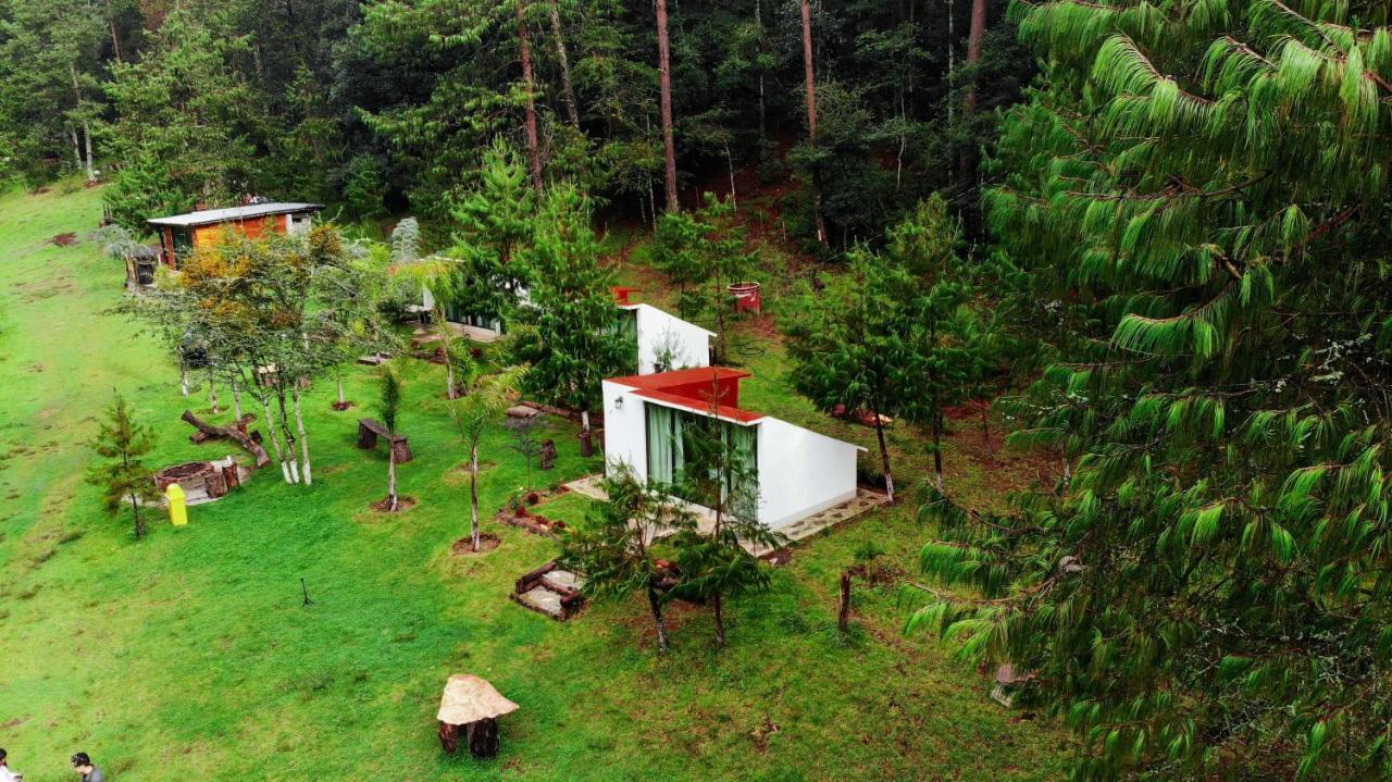 Romanticas Cabanas En Bosque Acaxochitlan Exterior photo